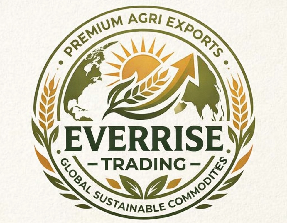 EVERRISE TRADING Logo